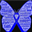 Butterfly89