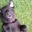 Vivie