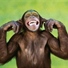 thecheekychimp