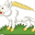Dovi