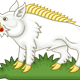 Dovi