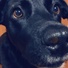 Skye_p