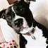 LadyTruman
