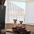 Milliegirl1