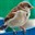 gina_46uk