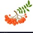 Redberry