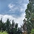 MarkInFrance