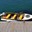 BoatBird