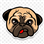 mj_hunt