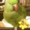 Azzi