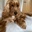 Barneybear