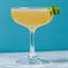 Daiquiri